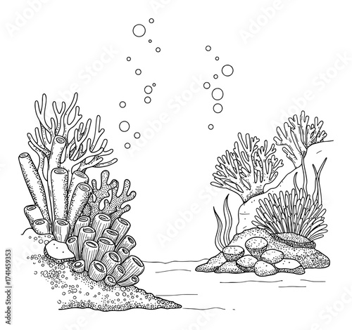 Underwater seascape of corals seaweeds and rocks coloring book Black and White Outline Line Art Drawing