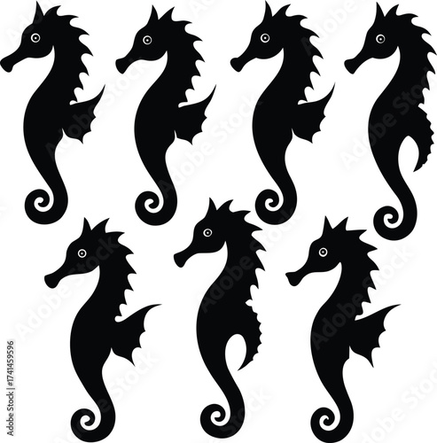 Seahorse Silhouettes Collection