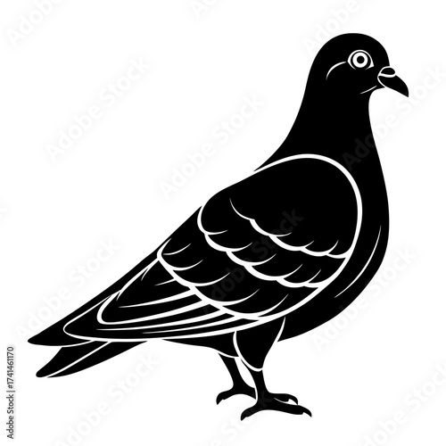 vector illustration of a bird