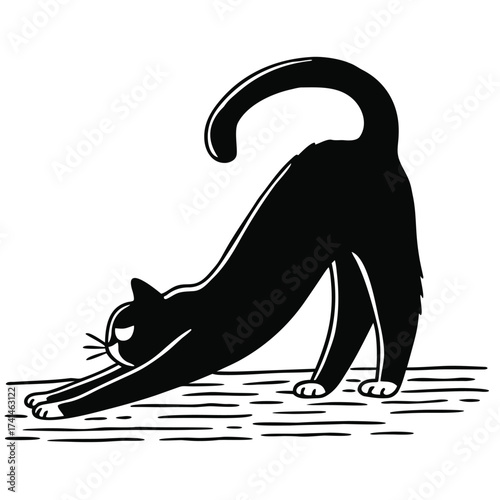 A black cat stretches its body on the floor
