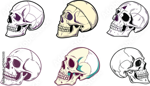 Skull collection, graphic art with anatomical detail, perfect for edgy designs, Halloween themes, tattoo art, medical illustration, or dark fantasy projects
