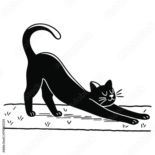 A black cat stretches its body on the grass