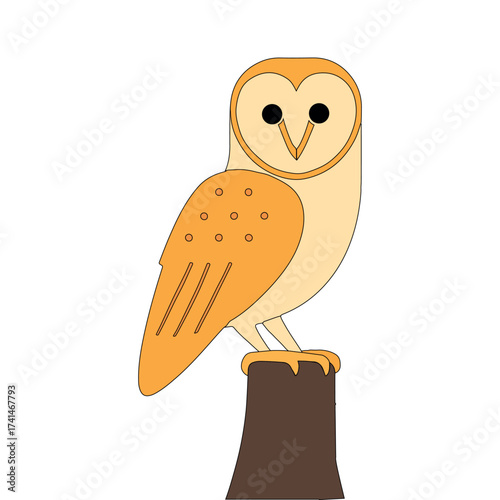 Barn Owl Vector Illustration | Cartoon Flat Design Owl Sitting on Tree Stump