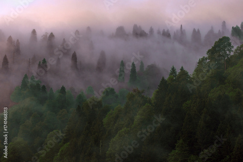 Fog rolling over forested mountains at dawn, Camlihemsin, Rize – Kackar / Black Sea, Turkey