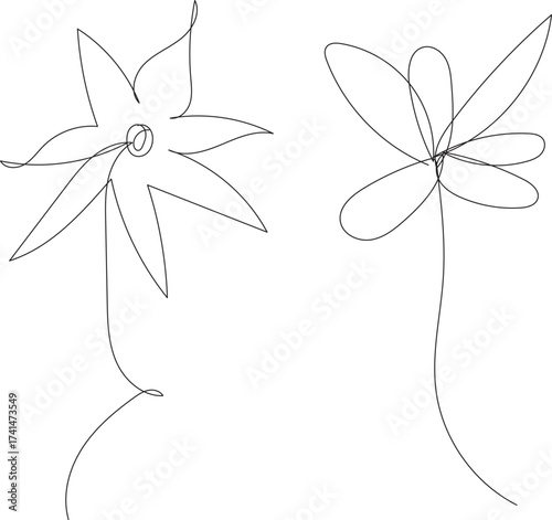Two delicate line drawing floral illustrations of blooming flowers with stems and leaves