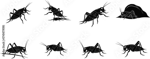 Cricket silhouette vector set with multiple poses, insect anatomy, natural habitat, and pest control theme for educational and design use.