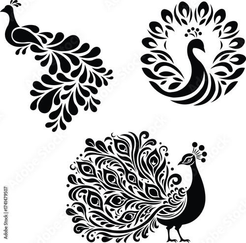 peacock vector ornamental silhouette design, elegant peacock vector illustration pack [Converted]