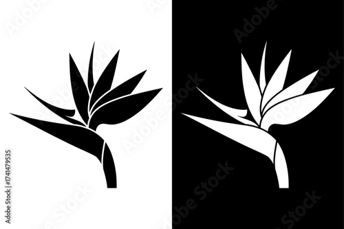 black and white elegant Bird of paradise flowers icon Silhouette vector style