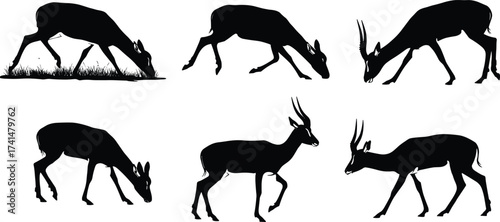 Antelope silhouette vector set with grazing, walking, standing poses for wildlife illustration, nature-themed design, and educational animal anatomy use.