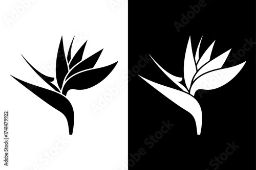 black and white beautiful Bird of paradise flower icon Silhouette vector style