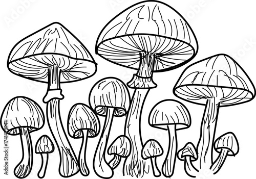 Mushroom group line art vector illustration of fungi perfect for coloring books and educational mate