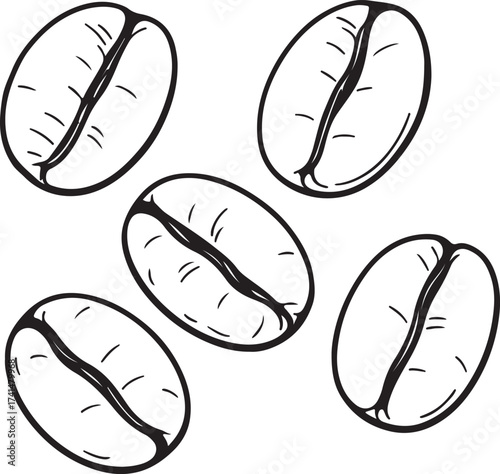 Line art coffee beans
