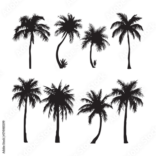Palm tree silhouettes set – black palm tree shapes collection, isolated vector on white background.