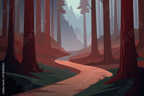 Winding path through a dense forest with tall trees