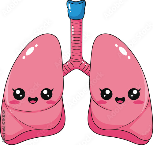 Cute lungs cartoon illustration, healthy respiratory system character, kawaii lung design, smiling organ drawing, happy breathing anatomy, medical health education, adorable biology vector