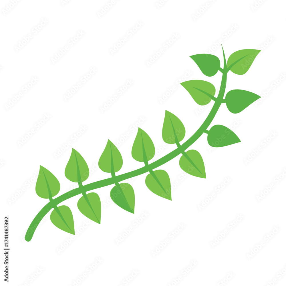 Fototapeta premium green leaves on white background