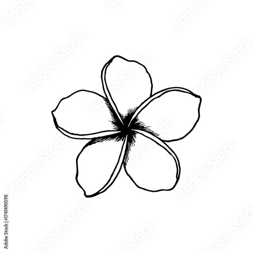 Simple Plumeria Flower Outline