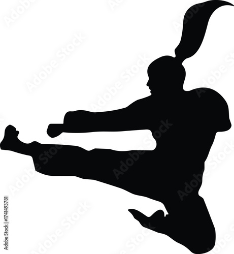 Martial arts silhouette, flying kick pose, taekwondo action, black figure, dynamic movement, self defense, isolated background, athletic jump, combat skill