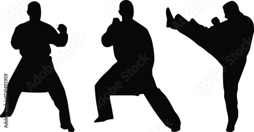 Martial arts silhouette, karate pose, taekwondo kick, self defense training, black figure, combat stance, isolated white background, action movement