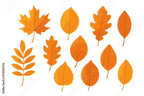 Set of Vector Autumn Leaves in Various Shapes and Sizes with Transparent Background, Ordered Collection of Fall Foliage Illustrations, Seasonal Leaf Designs