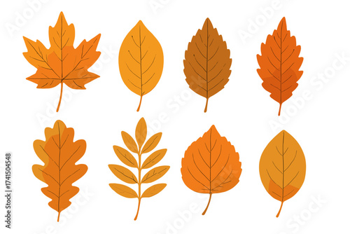 Set of stylish autumn leaves vector illustrations with transparent background, various fall foliage shapes and colors, ordered seasonal nature leaf collection for design
