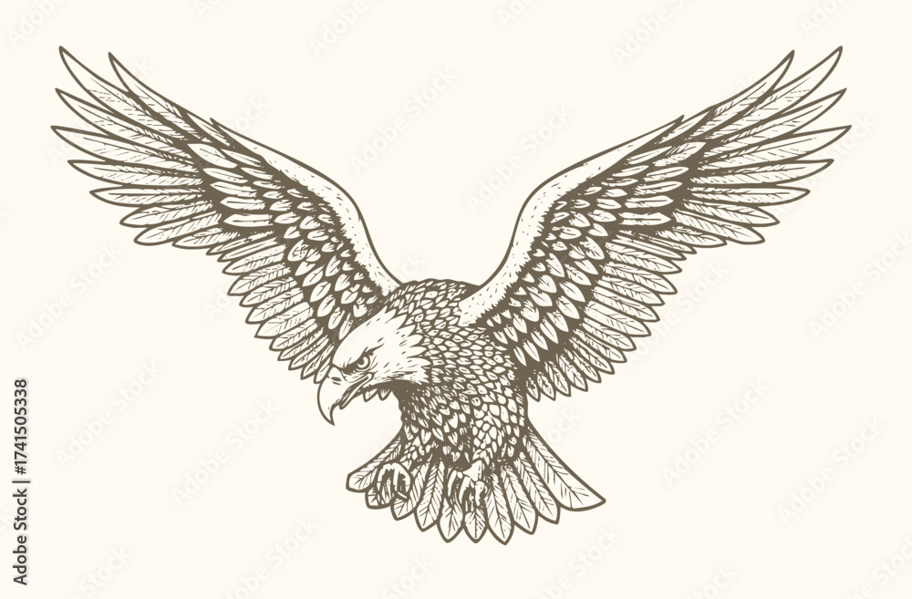 Fototapeta premium Bald eagle soaring in air monochrome illustration. Isolated, vector of eagle engraving style