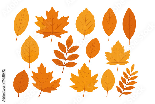 Set of vector autumn leaves. Fall foliage illustration collection. Isolated seasonal design elements. Orange and yellow maple, oak, birch, rowan leaf icons for nature decor.