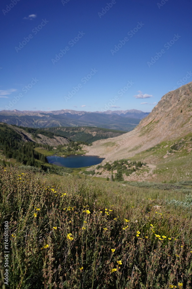 Obraz premium Landscape and Mountains