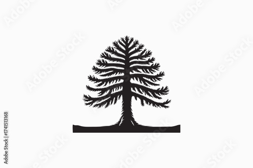 A Monkey Puzzle  manifestation tree vector silhouettes black image. eps