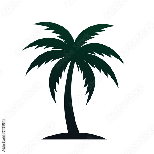 Vector illustration Dark green silhouette of a single palm tree on white background