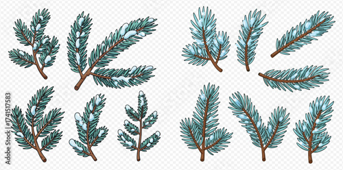 Collection of hand-drawn evergreen branches with snow, perfect for winter and Christmas holiday designs.