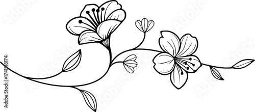 simple flower hand drawn vector illustration on transparent background