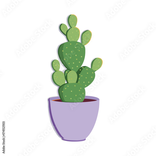 Vector illustration Green prickly pear cactus in a purple pot with shadow plant