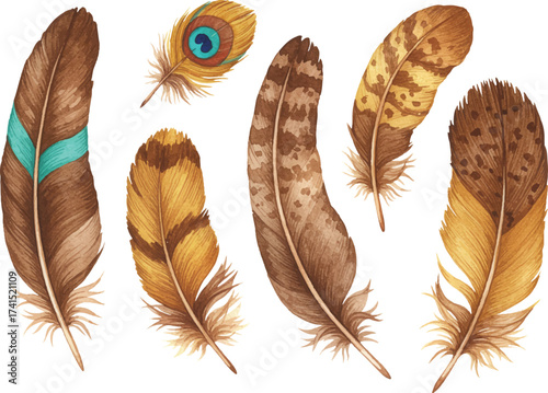Three light bird feathers in a set are isolated on a white background for art or design