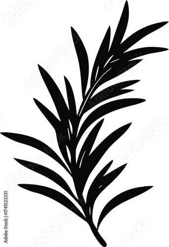 silhouette vector of a rosemary sprig
