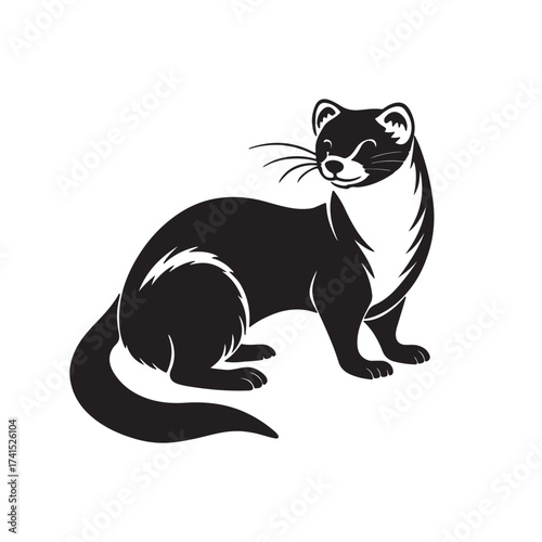 Animals vectors design 
