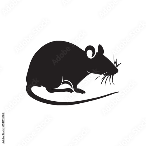 Animals vectors design 