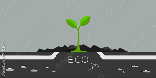 Young green plant sprouting through cracked asphalt with the word eco symbolizing environmental awareness and renewal
