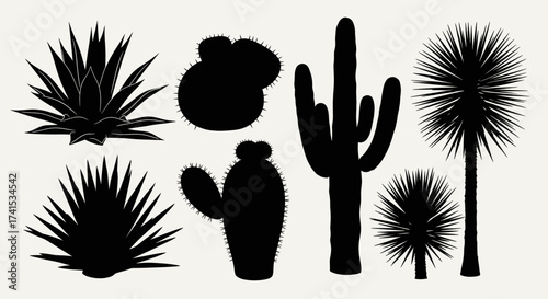 Set of 7 Desert Cactus and Succulent Plant Silhouettes Vector