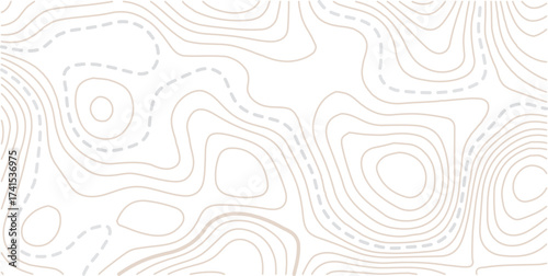 Abstract topo contour map on white background, Topographic map Topographic contour lines map seamless pattern. Geographic mountain relief diagram line wave carve pattern