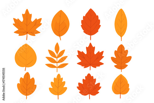 Set of vector autumn leaves. Fall foliage collection. Maple, oak, elm leaf icons for seasonal design. Nature illustration elements. Orange and yellow colored leaves clipart.