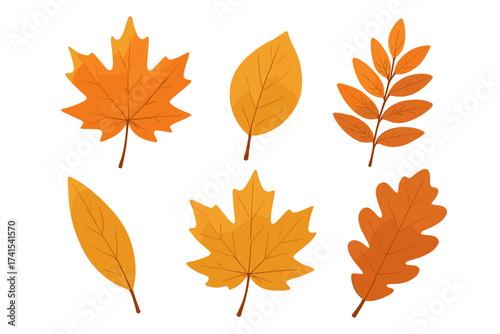 Vector set of autumn leaves. Fall foliage collection isolated on transparent background. Orange maple, oak, rowan leaf icon. Seasonal nature illustration for graphic design.