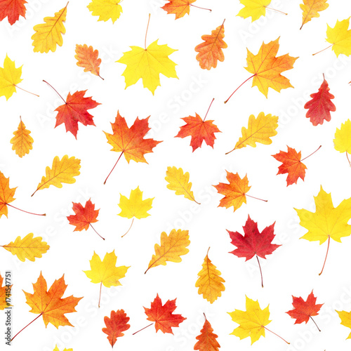 Vibrant autumn leaves falling gently, creating a seamless colorful pattern perfect for seasonal designs and Thanksgiving promotions