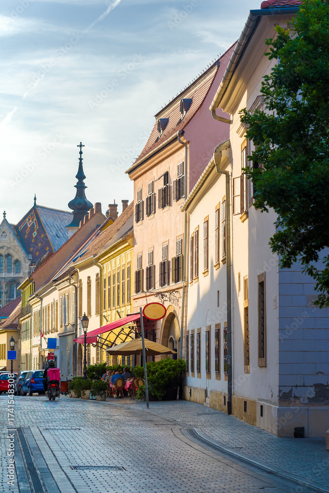 Obraz premium Fortuna street in Budapest old city