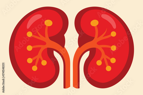 The image is of a pair of kidneys