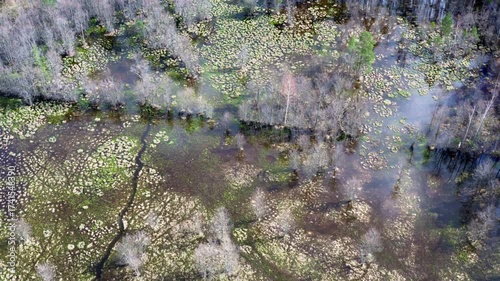 Aerial view. Drone flight over the forest in spring.