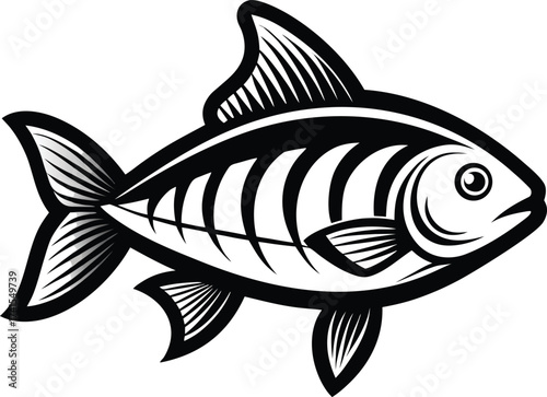 Vector art of stylized black and white illustration of a fish with detailed fins and scales, isolated on a grey background