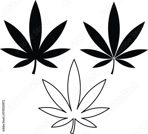 Three cannabis marijuana leaf symbols in silhouette isolated on white background