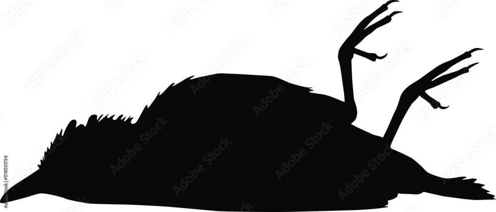 Εκτύπωση καμβά Silhouette of a dead bird lying on its back with legs in the air isolated on whi