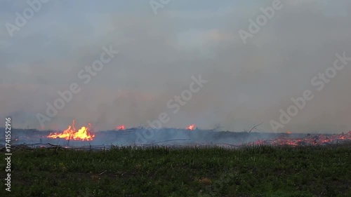 fire in the field panning video